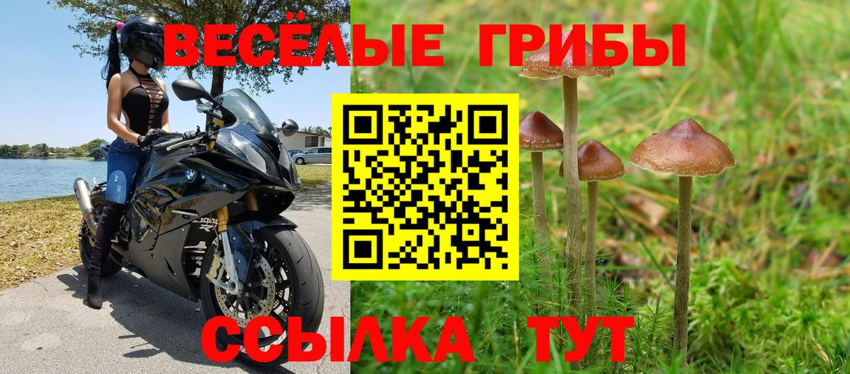Псилоцибиновые грибы Psilocybe  магазин продажи   Воскресенск  Вход с VPN 