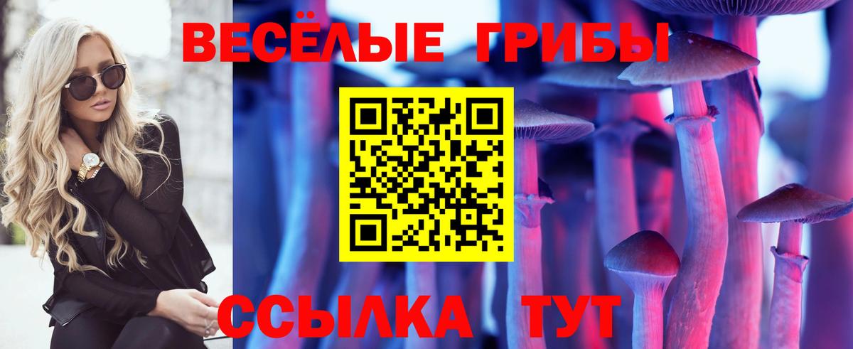 Псилоцибиновые грибы мицелий Воскресенск